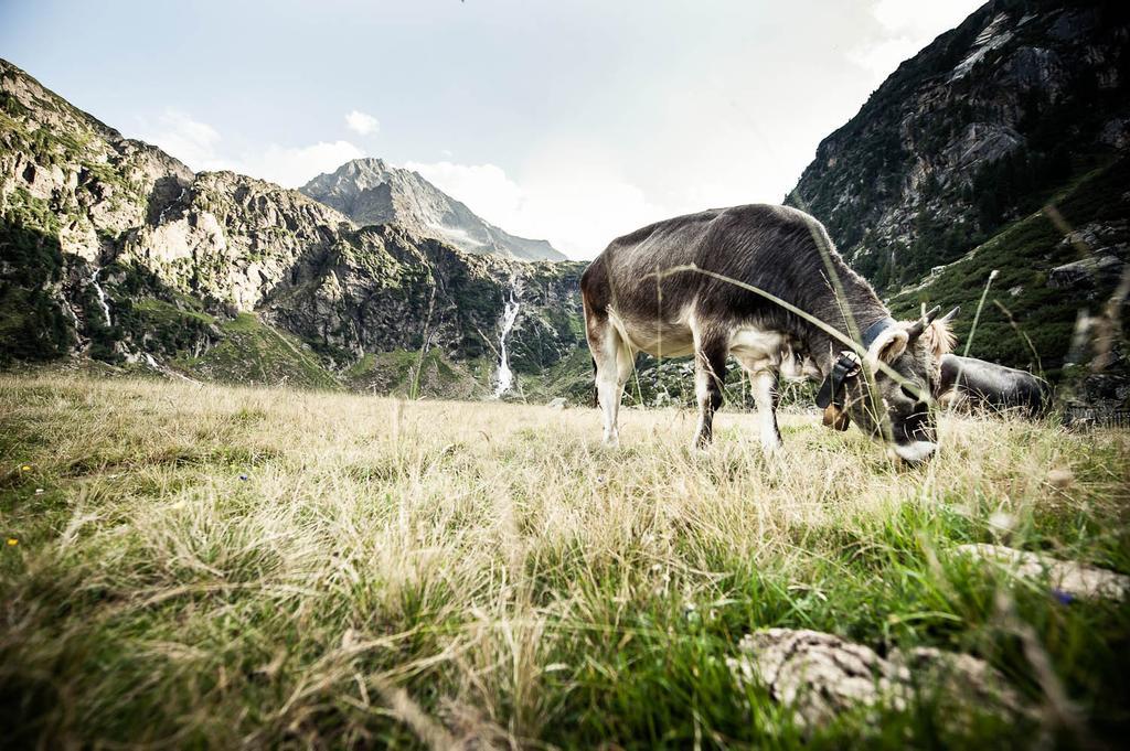 Alpenchalet Vital Neustift im Stubaital Zewnętrze zdjęcie